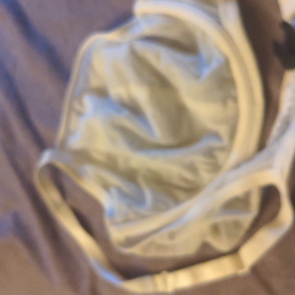 38E Spirit Collection Bra Plus Size Bra 38E Lace Blue White Plus Bra - Picture 6 of 11